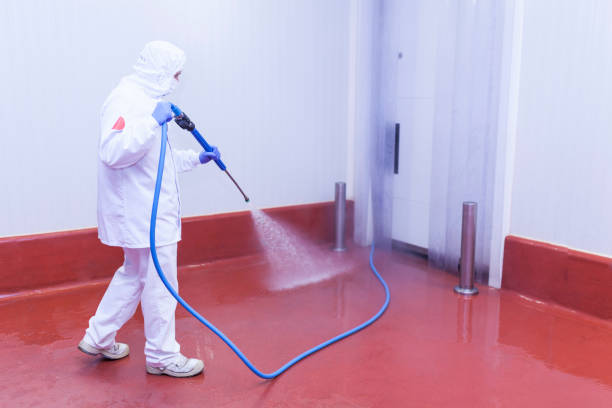 Jamul, CA Pressure Washing Services Company